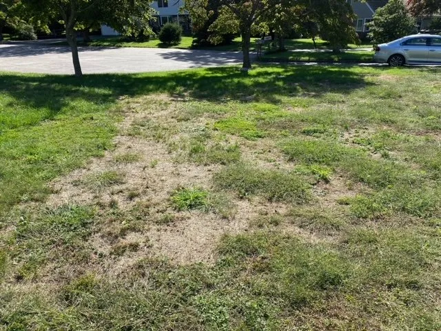 Affordable landscape design in Fairfield, CT by Weed Man