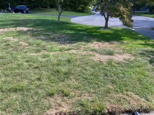 Top-rated lawn mowing service in Fairfield, CT - Weed Man