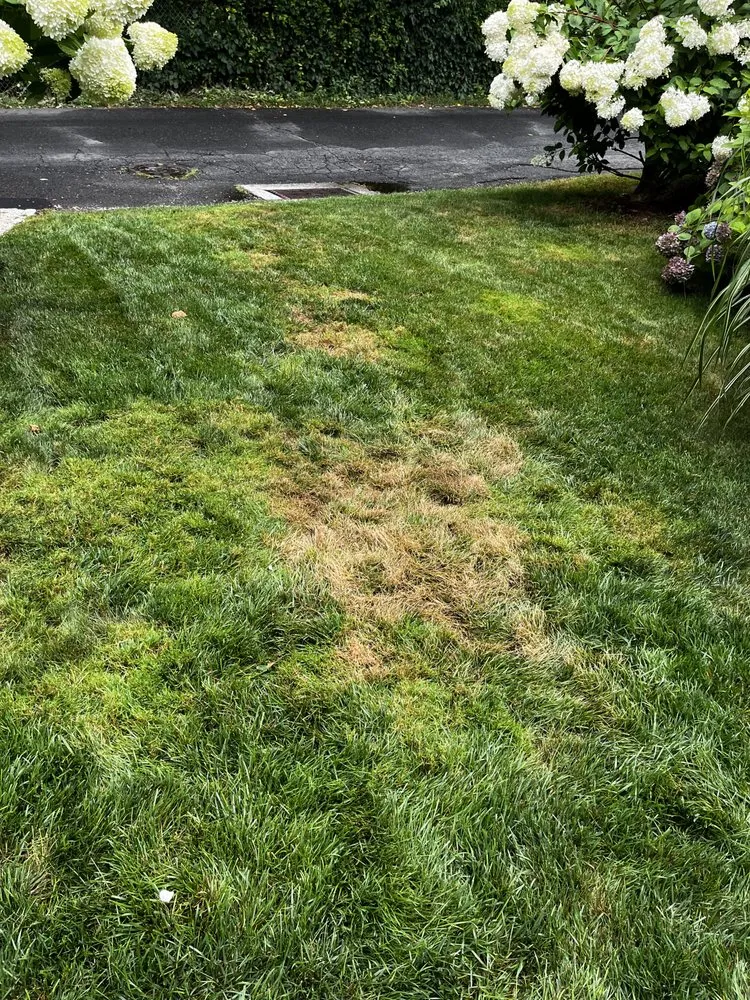 Professional residential landscaping experts serving Fairfield, CT - Weed Man