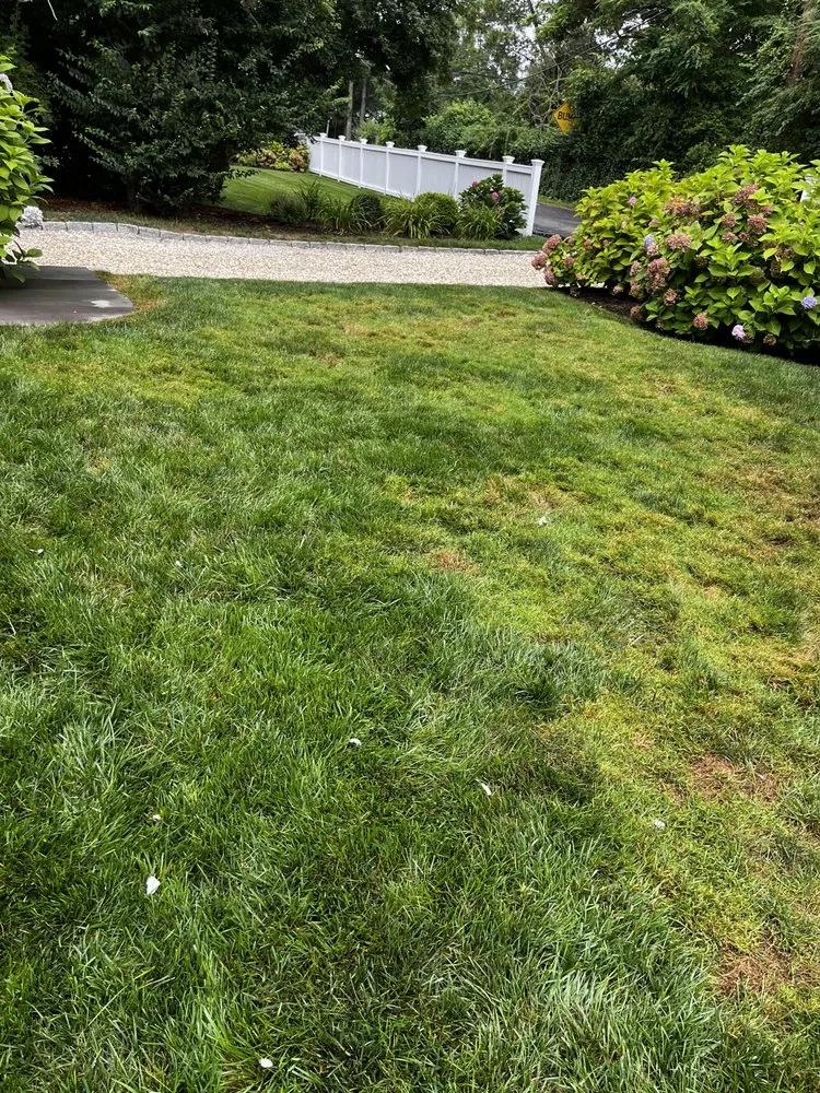 Custom landscape design with custom design in Fairfield, CT by Weed Man