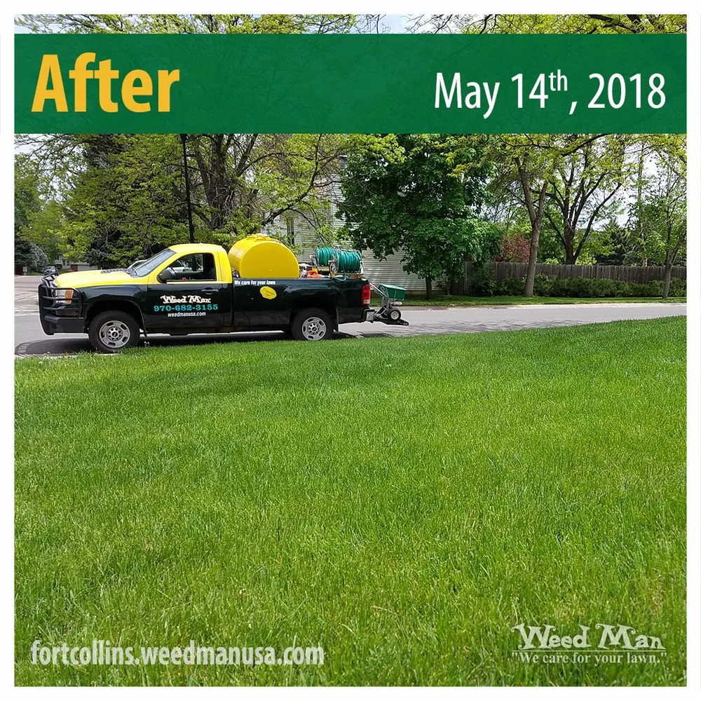 Expert yard cleanup service experts serving Fort Collins, CO - Weed Man