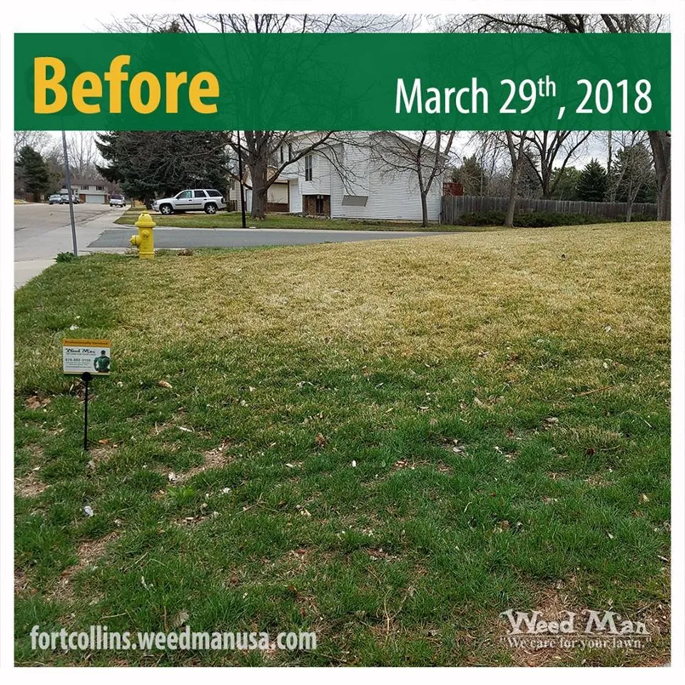 Trusted residential landscaping for outdoor upgrades in Fort Collins, CO by Weed Man