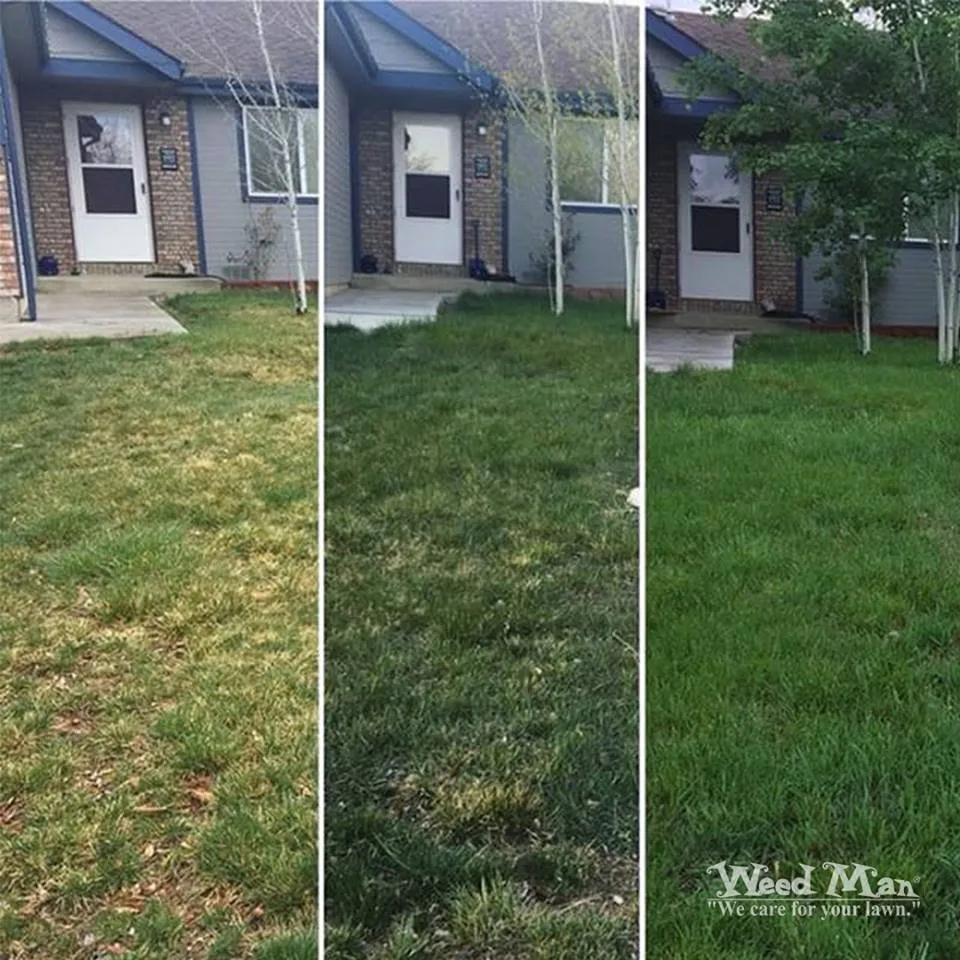 Local yard maintenance experts serving Fort Collins, CO - Weed Man