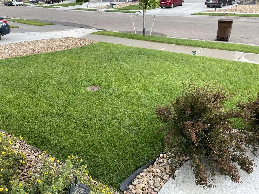 Custom landscaping services in Fort Collins, CO - Weed Man