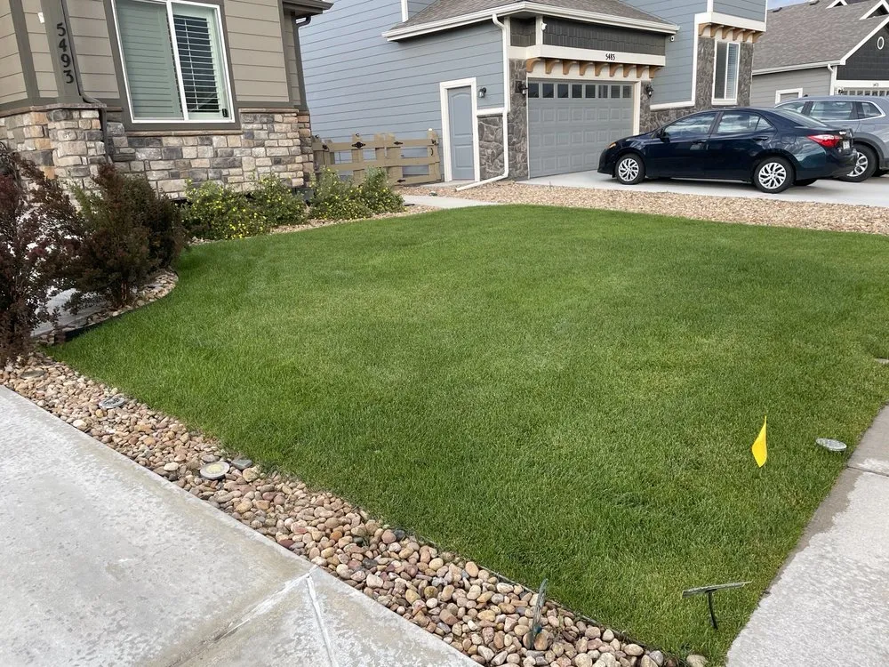 Affordable outdoor landscaping near you across Fort Collins, CO - Weed Man