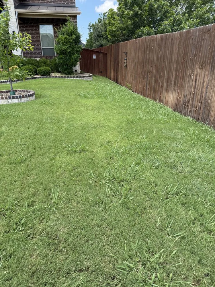 Custom residential landscaping near you across Fort Worth, TX - Weed Man