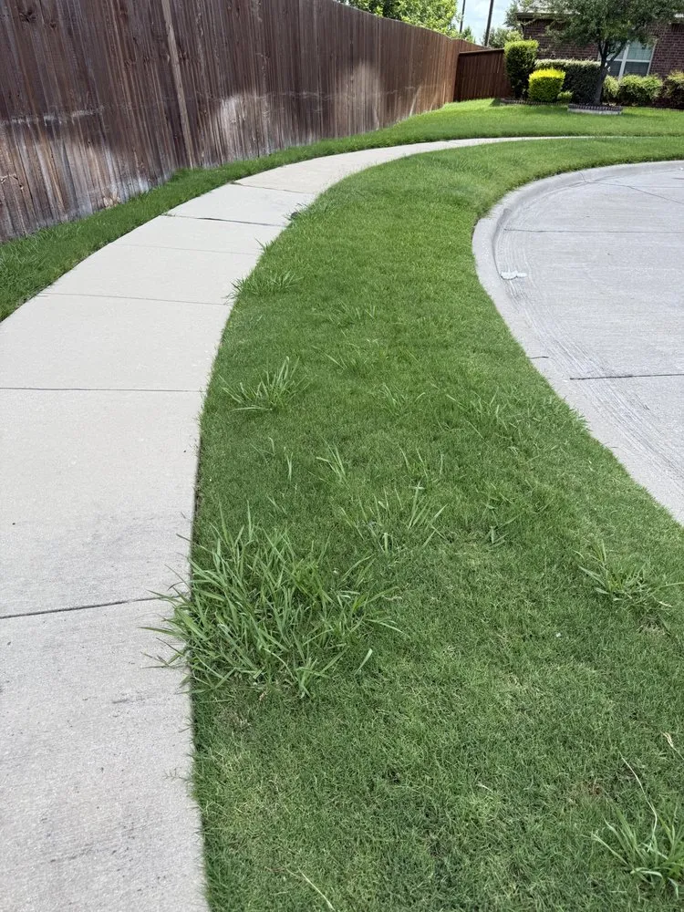 Trusted lawn mowing service in Fort Worth, TX - Weed Man