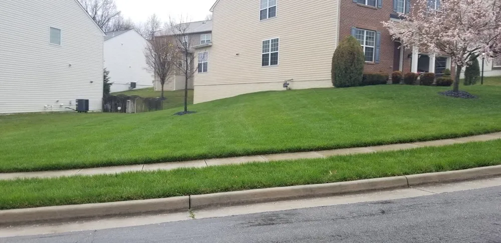 Trusted lawn care service for beautiful yards across Fredericksburg, VA - Weed Man