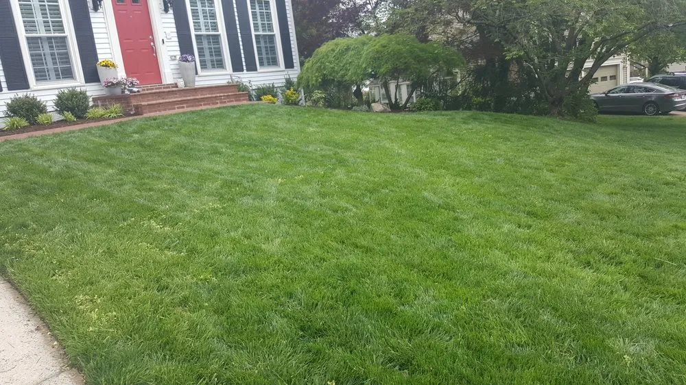 Professional yard maintenance for homes across Fredericksburg, VA - Weed Man