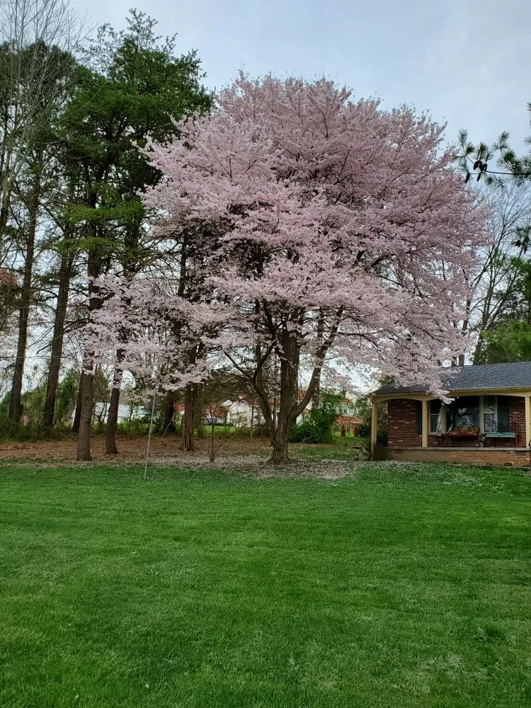 Local garden landscaping in Fredericksburg, VA by Weed Man