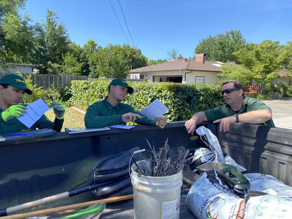 Trusted lawn mowing service in Fresno, CA by Weed Man