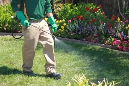 Expert residential landscaping in Fresno, CA - Weed Man