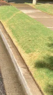 Reliable residential landscaping in Greer, SC - Weed Man