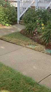 Professional garden landscaping near you across Greer, SC - Weed Man