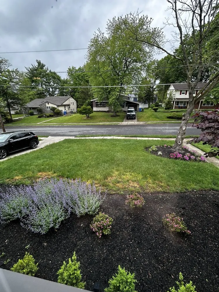 Affordable outdoor landscaping experts serving Haddonfield, NJ - Weed Man