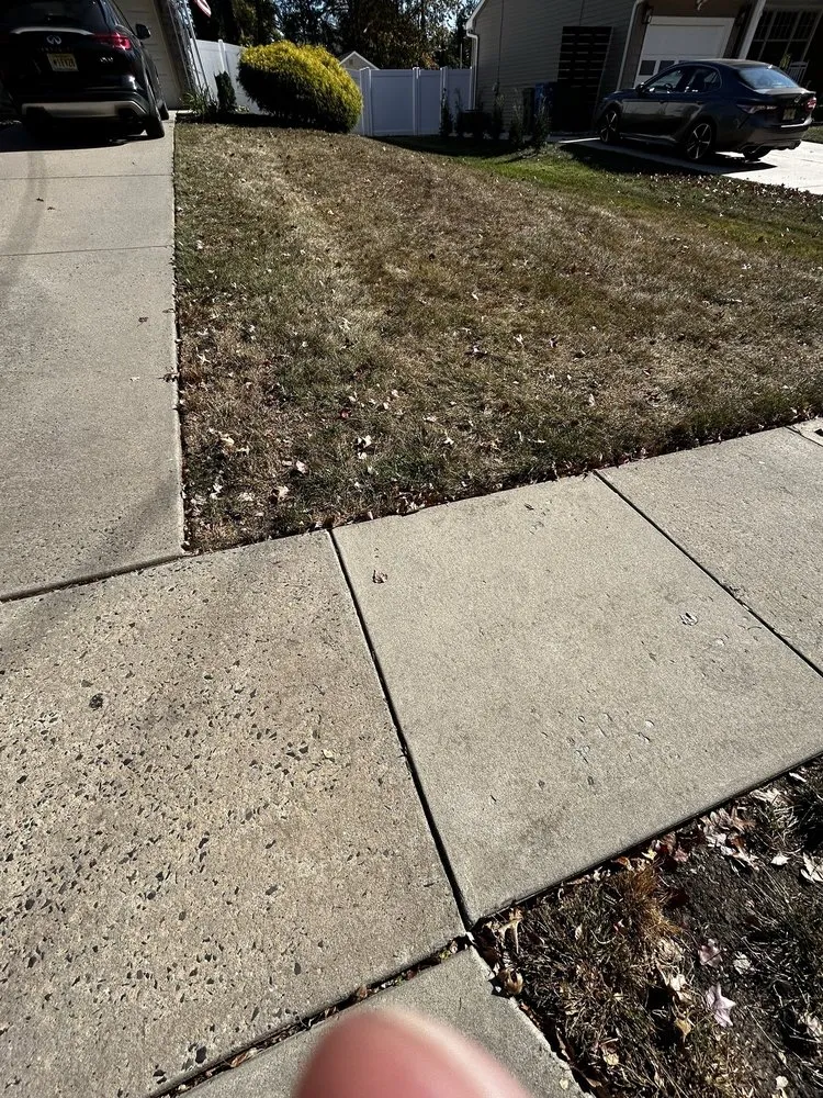 Professional outdoor landscaping in Haddonfield, NJ by Weed Man