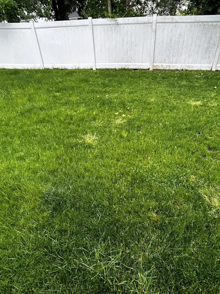 Local landscape design in Haddonfield, NJ - Weed Man