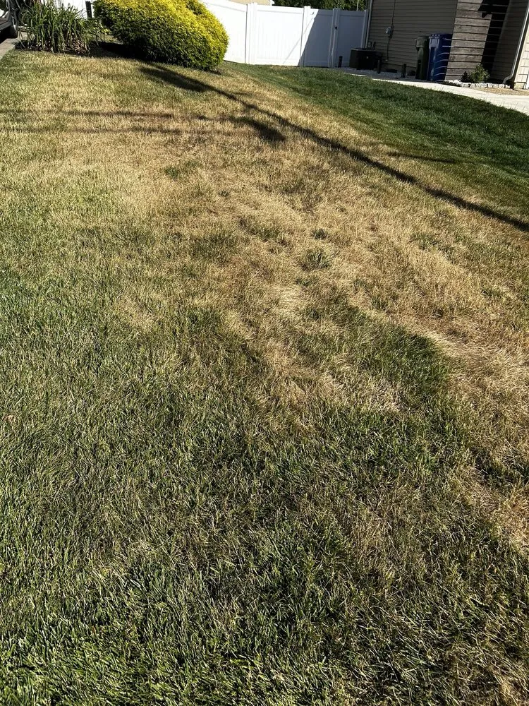 Affordable yard cleanup service in Haddonfield, NJ - Weed Man