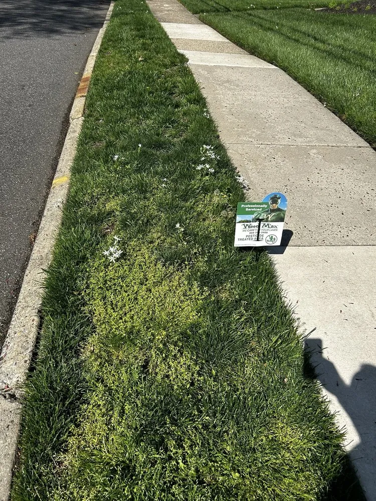 Professional lawn mowing service experts serving Haddonfield, NJ - Weed Man