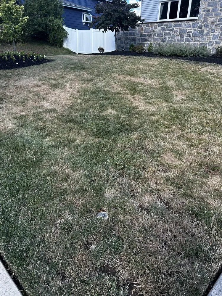 Top-rated outdoor landscaping in Haddonfield, NJ - Weed Man