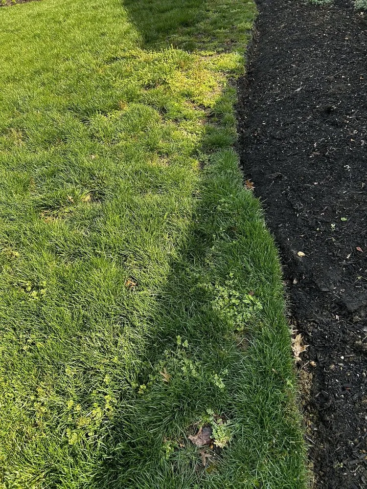 Reliable yard maintenance experts serving Haddonfield, NJ - Weed Man