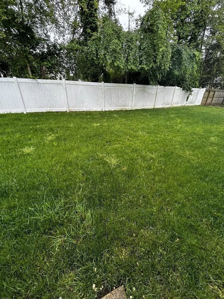 Affordable residential landscaping in Haddonfield, NJ by Weed Man