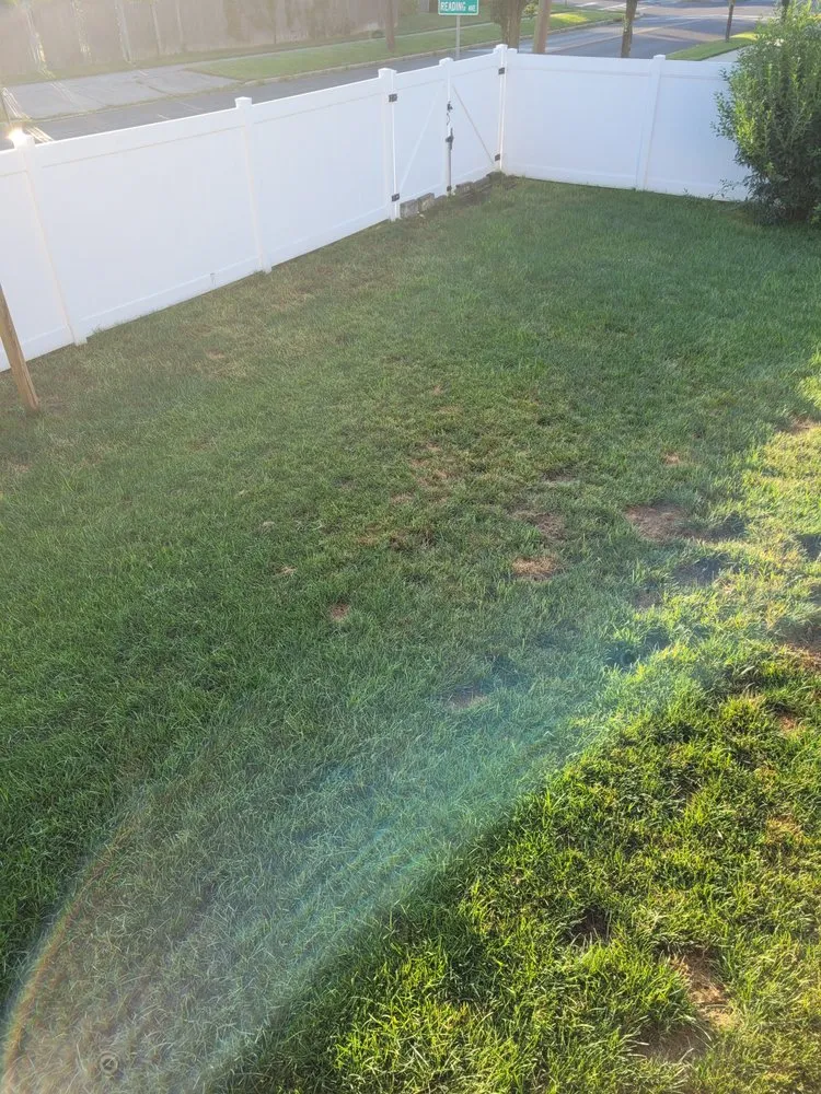 Custom outdoor landscaping experts serving Haddonfield, NJ - Weed Man