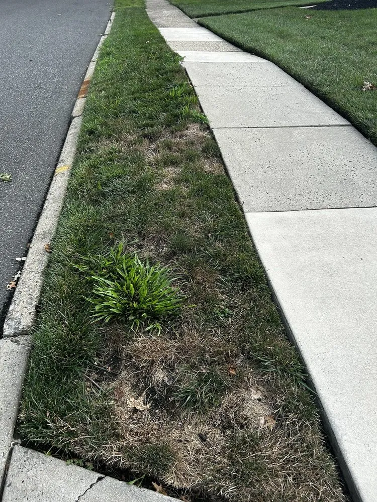 Affordable landscape installation for beautiful yards across Haddonfield, NJ - Weed Man