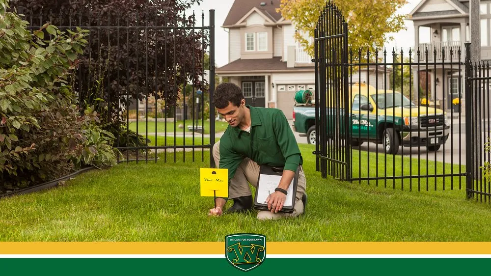 Professional yard maintenance experts serving Hixson, TN - Weed Man