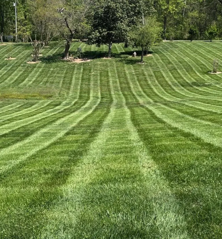 Custom outdoor landscaping in Hixson, TN by Weed Man