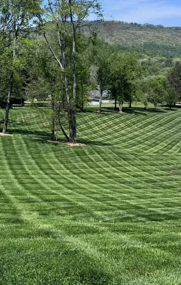 Trusted landscaping services in Hixson, TN - Weed Man