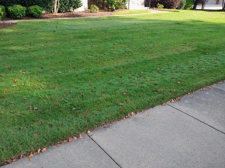 Affordable yard maintenance near you in Hixson, TN by Weed Man