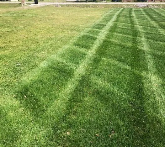 Professional residential landscaping for year-round maintenance in Hixson, TN by Weed Man
