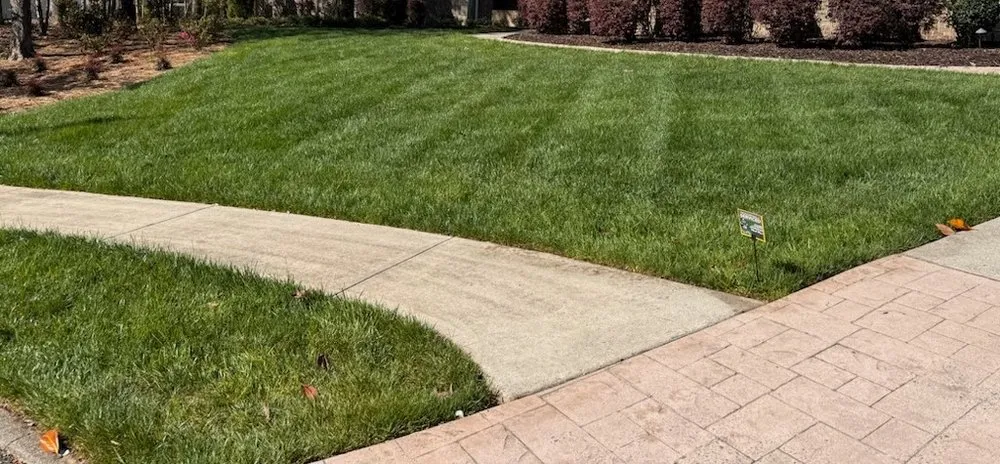 Professional landscape installation in Hixson, TN - Weed Man