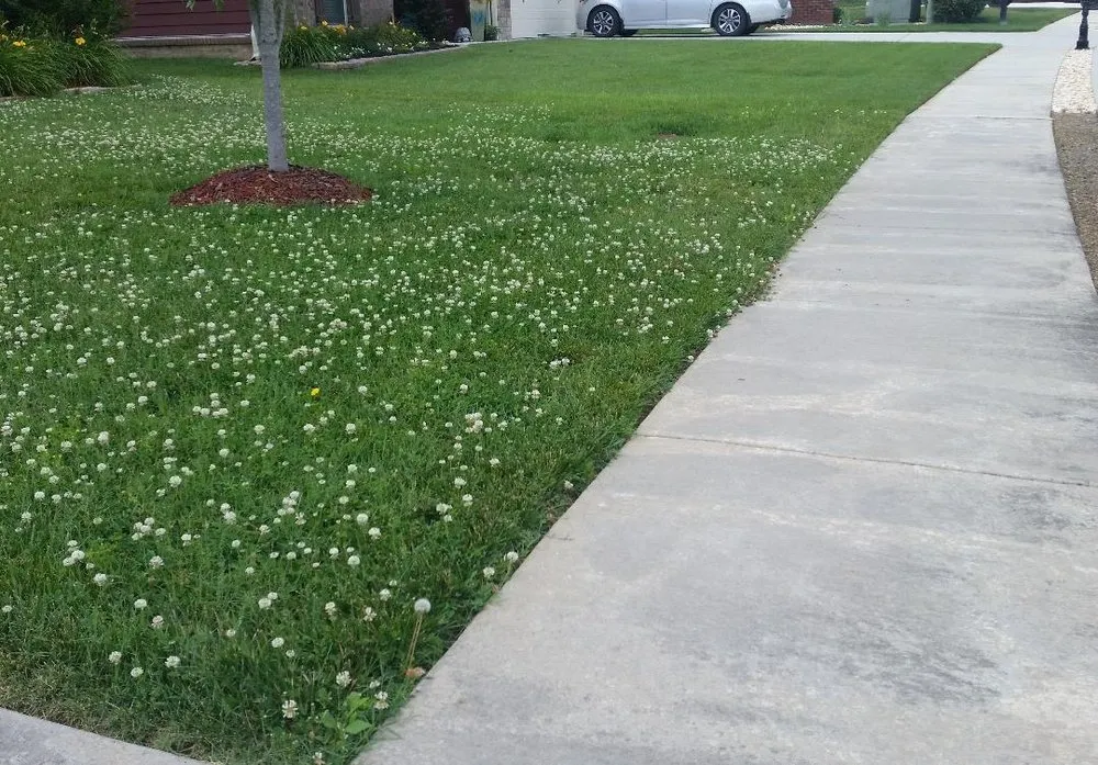 Trusted garden landscaping for year-round maintenance in Hixson, TN by Weed Man