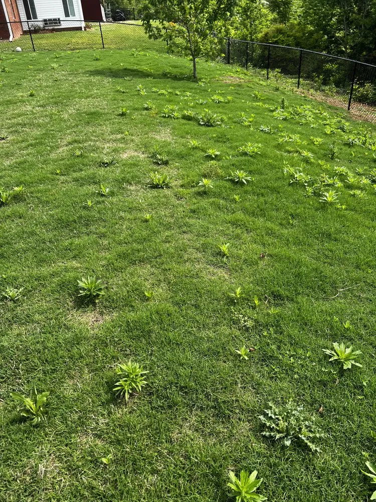 Top-rated residential landscaping in Hixson, TN by Weed Man