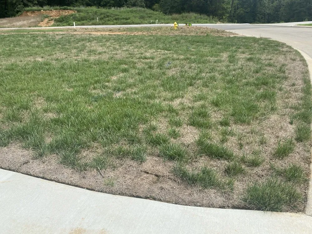 Local residential landscaping in Hixson, TN by Weed Man