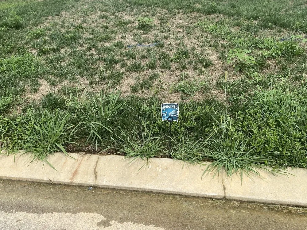 Reliable landscape installation in Hixson, TN by Weed Man