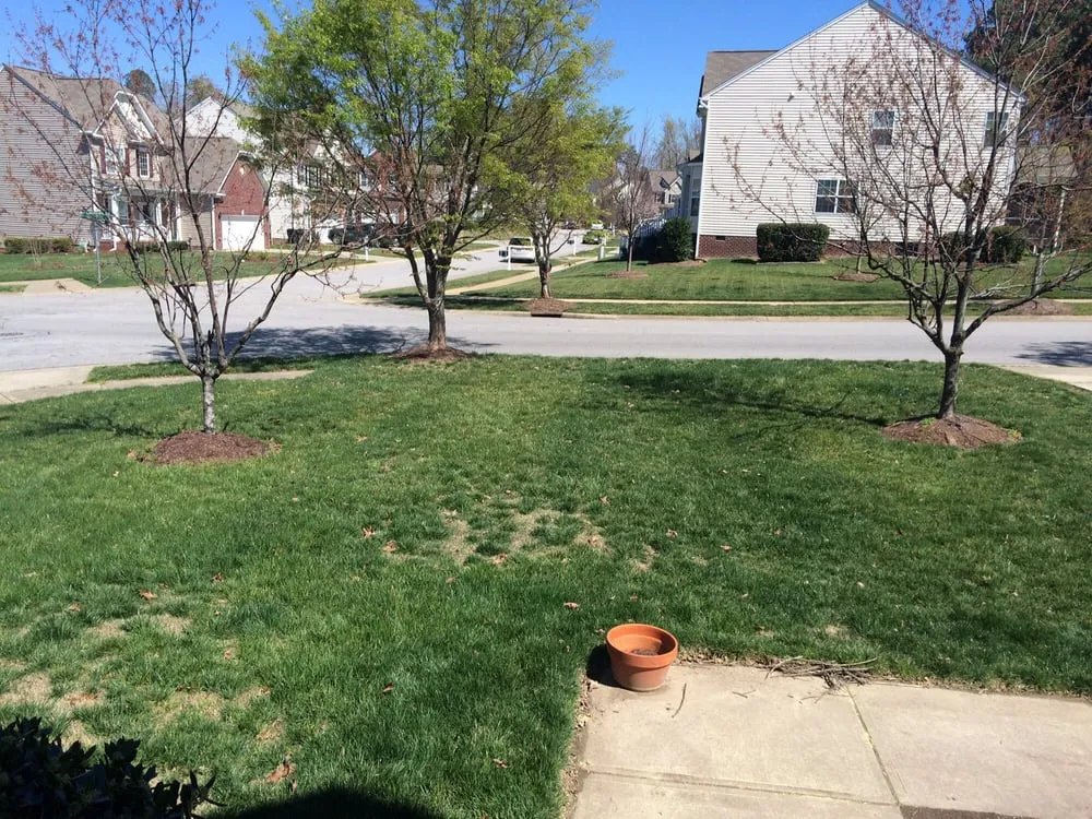 Custom yard maintenance for year-round maintenance in Holly Springs, NC by Weed Man