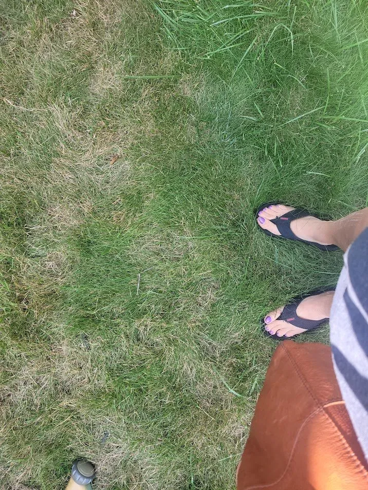 Professional outdoor landscaping in Holt, MI by Weed Man