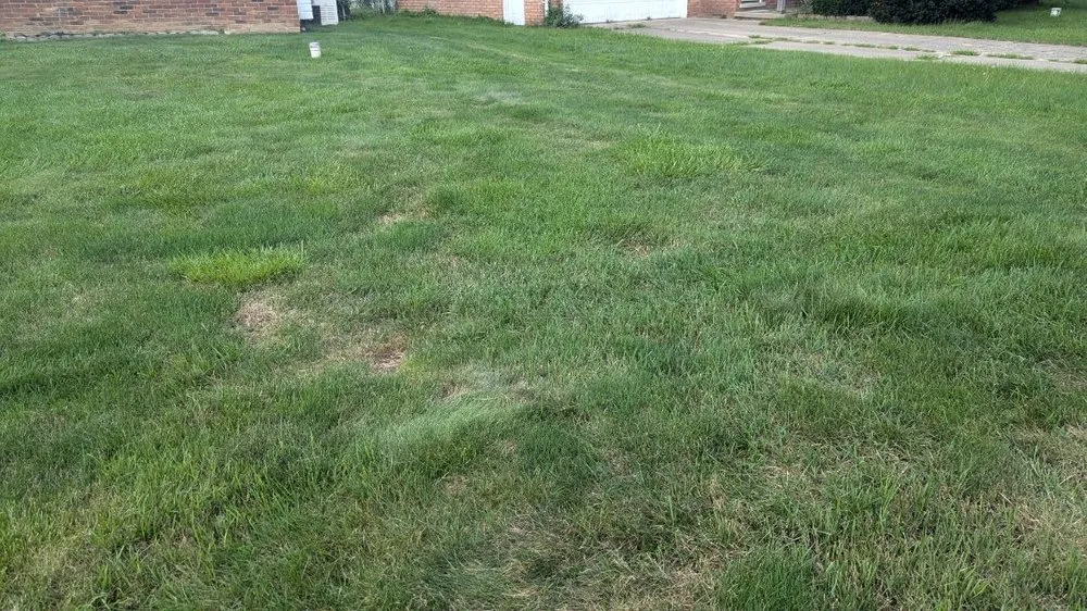 Affordable landscaping services in Holt, MI by Weed Man