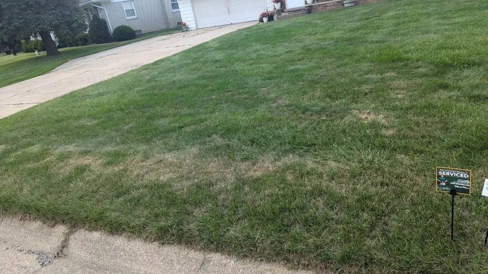 Expert landscaping services near you across Holt, MI - Weed Man