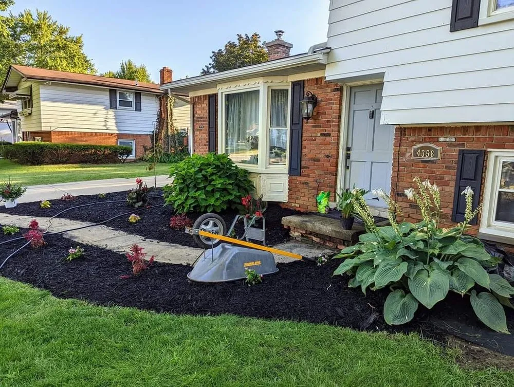 Top-rated outdoor landscaping experts serving Holt, MI - Weed Man