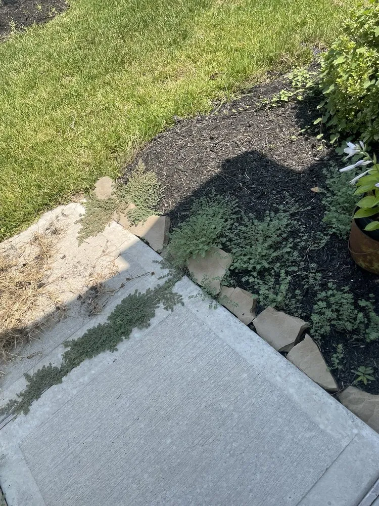 Reliable landscaping services in Houston, TX by Weed Man