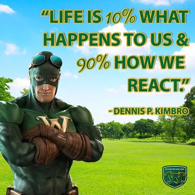 Top-rated lawn care service for beautiful yards in Houston, TX by Weed Man