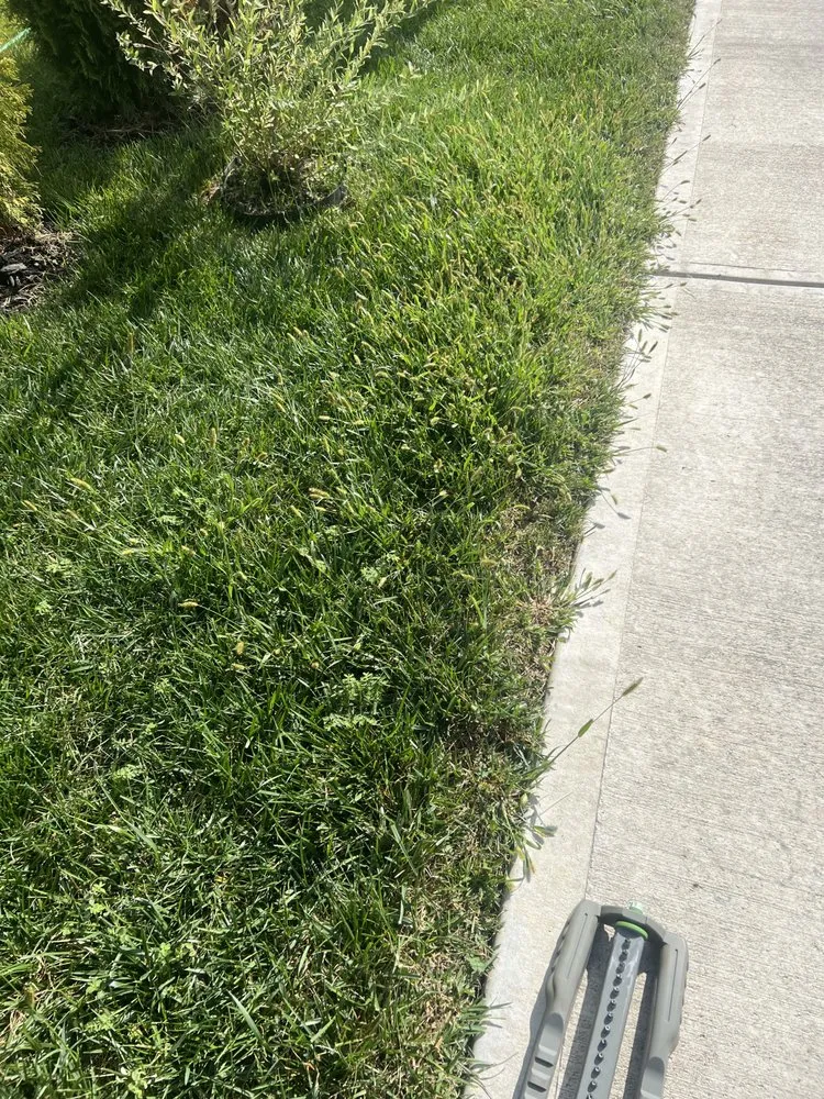 Top-rated yard maintenance for residential properties across Indianapolis, IN - Weed Man