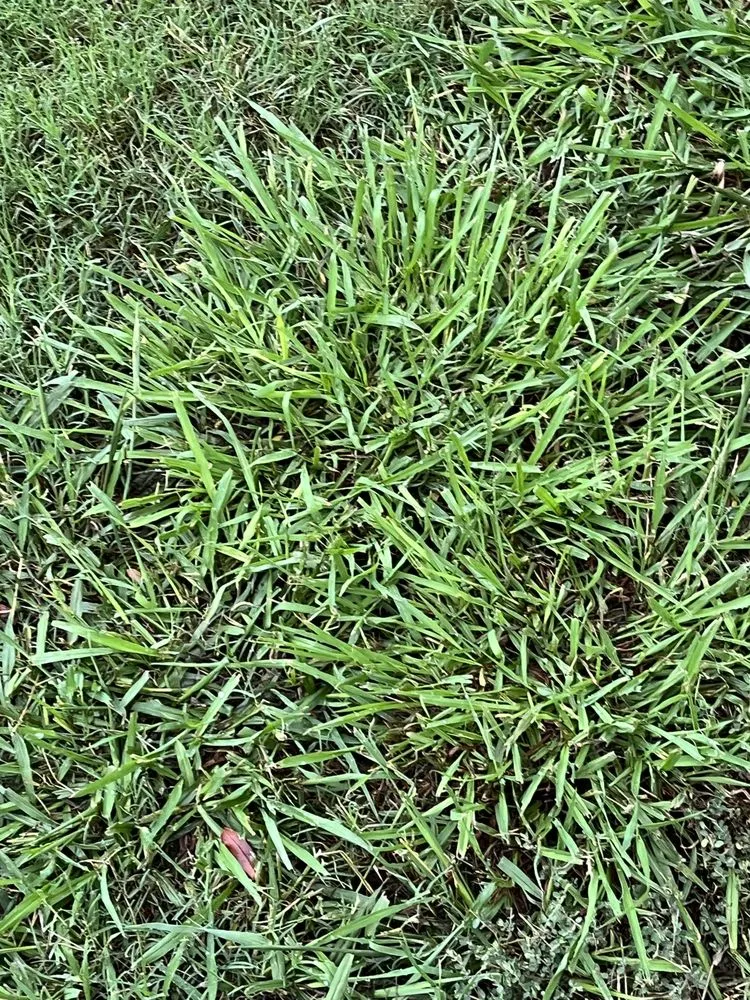 Trusted landscape installation in Justin, TX - Weed Man