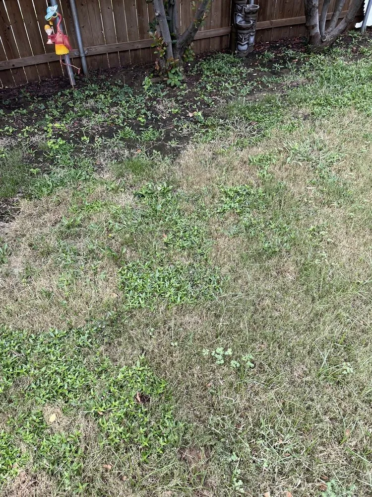 Professional residential landscaping in Justin, TX by Weed Man