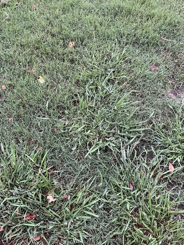 Reliable landscape installation in Justin, TX by Weed Man