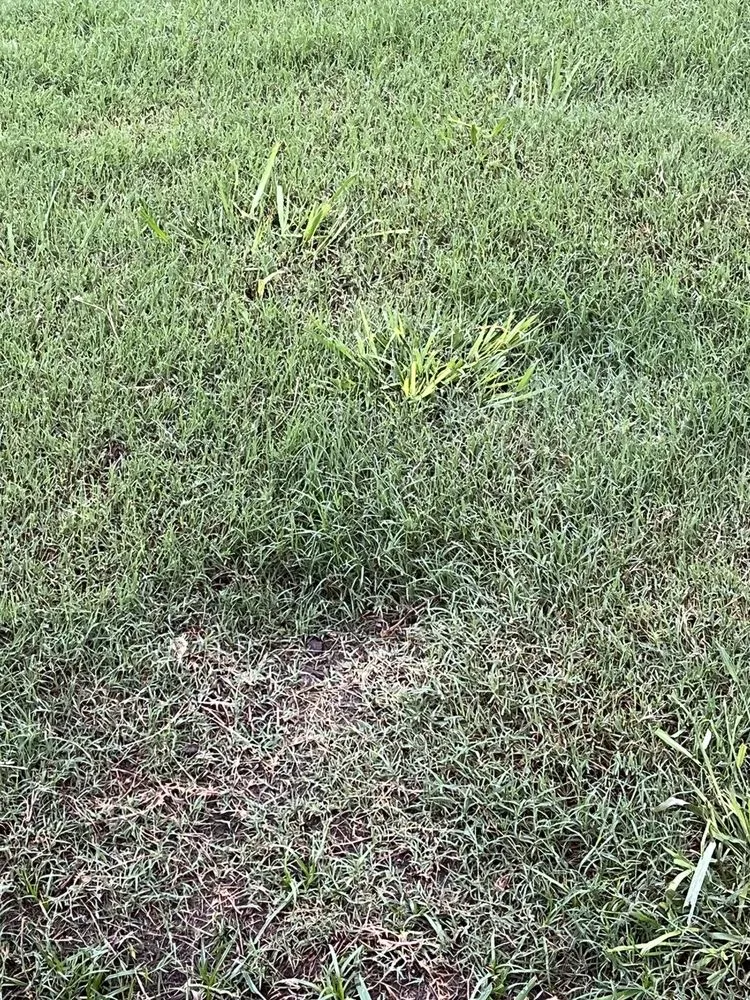 Custom residential landscaping in Justin, TX by Weed Man